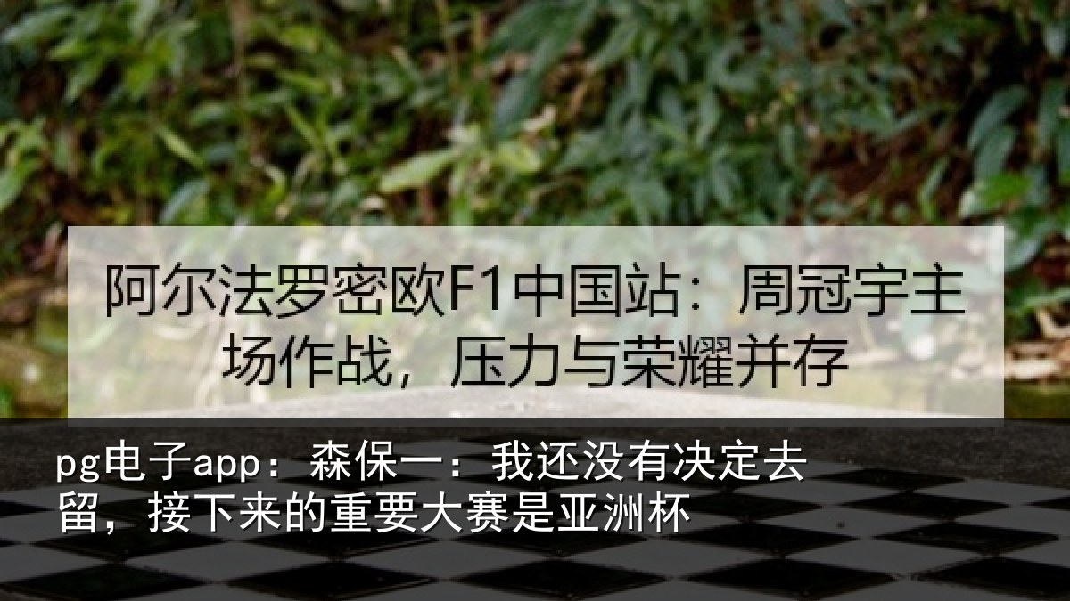 pg电子app：森保相关情况留，接下相关情况洲杯