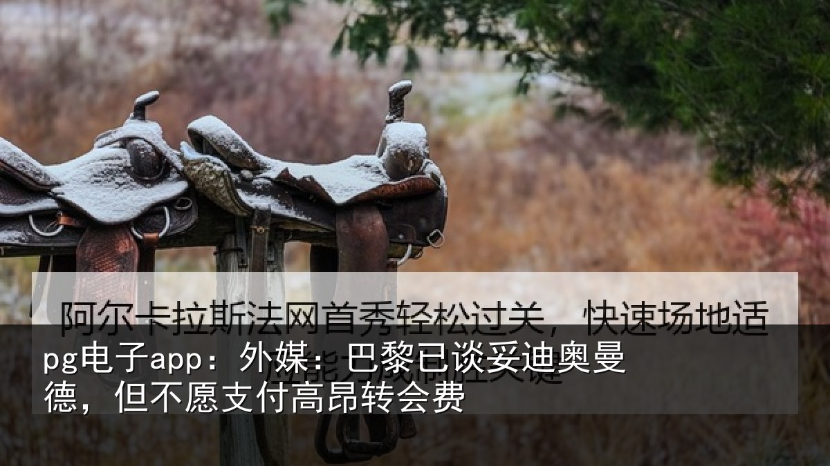 pg电子app：外媒相关情况德但相关情况费