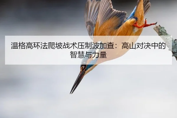 wen-ge-gao-huan-fa-pa-po-zhan-shu-ya-zhi-bo-jia-cha-gao-shan-dui-jue-zhong-de-zhi-hui-yu-li-liang-2-749.jpg