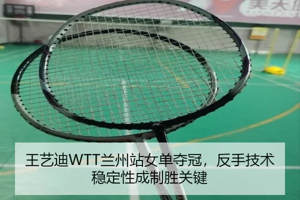 wang-yi-di-lan-zhou-zhan-nv-dan-duo-guan-fan-shou-ji-shu-wen-ding-xing-cheng-zhi-sheng-guan-jian-3-183.jpg
