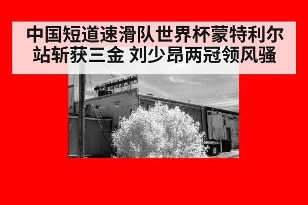 中国短道速滑队世界杯蒙特利尔站斩获三金 刘少昂两冠领风骚
